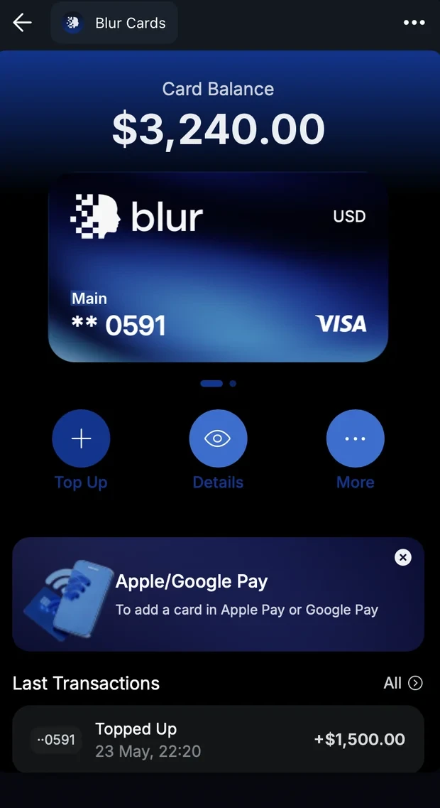 A single card with its balance and details