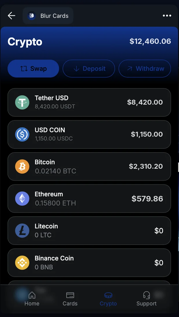 The crypto wallet with asset balances